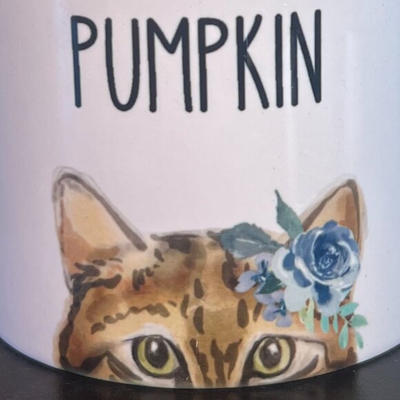 PUMPKIN the Green Eyed Cat Peeking Out at You ~ Ceramic Coffee Mug ~ Kitten - Picture 2 of 9